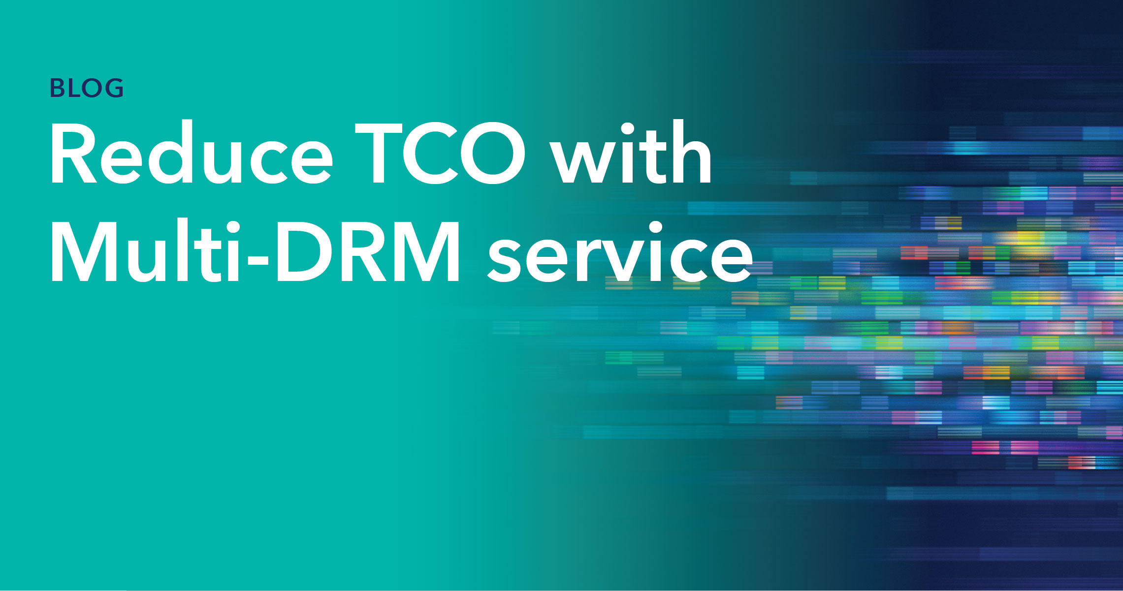 multi drm service